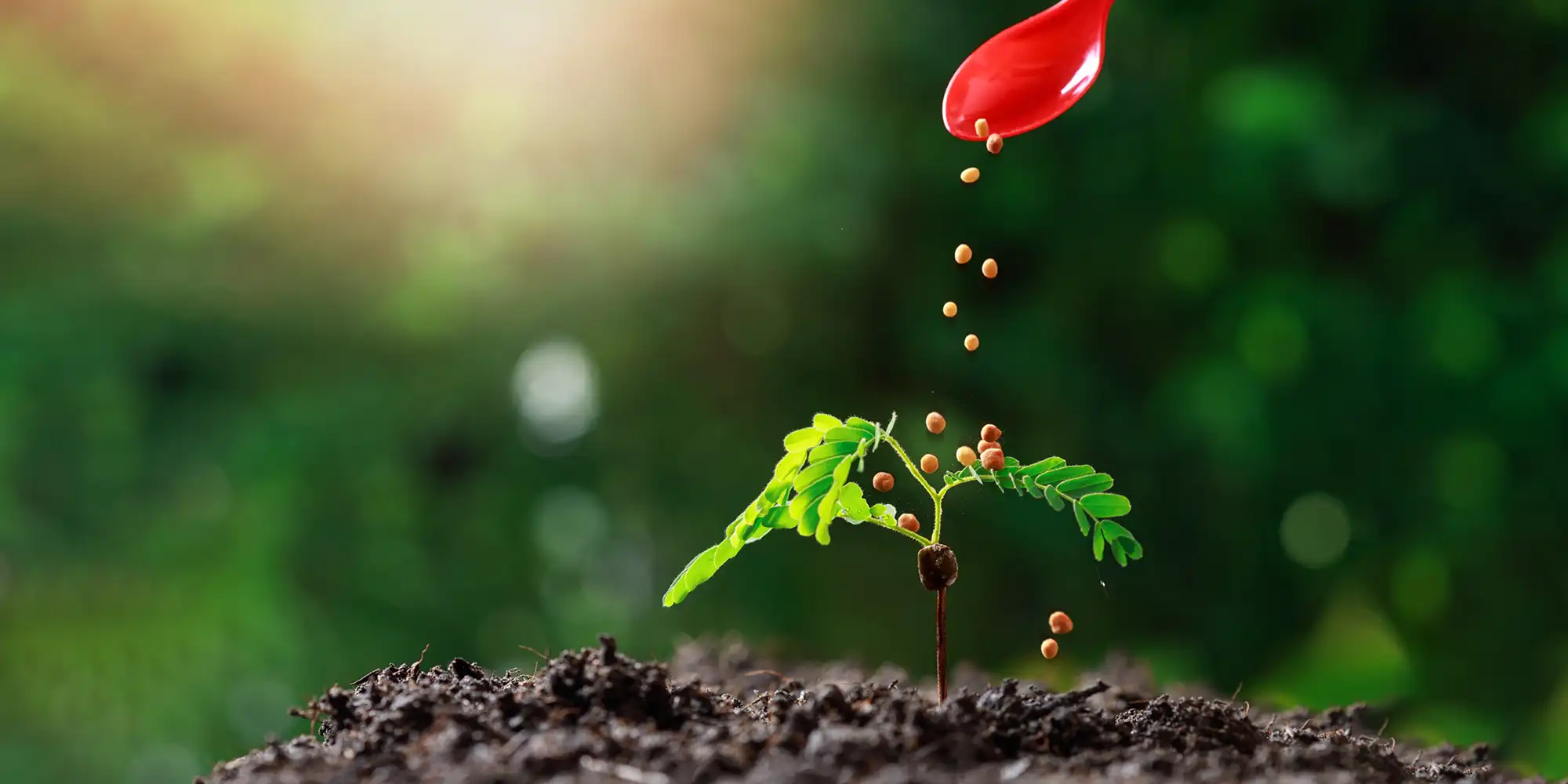 Metagro Fertilizer